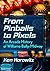 From Pinballs to Pixels by Ken Horowitz From Pinballs to Pixels by Ken Horowitz