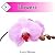 Flowers: Montessori Readers