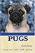 Pugs by Filomena Doherty