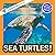 Sea Turtles!: A My Incredib...