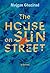 The House On Sun Street
