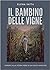 Il bambino delle vigne by Elena Vatta