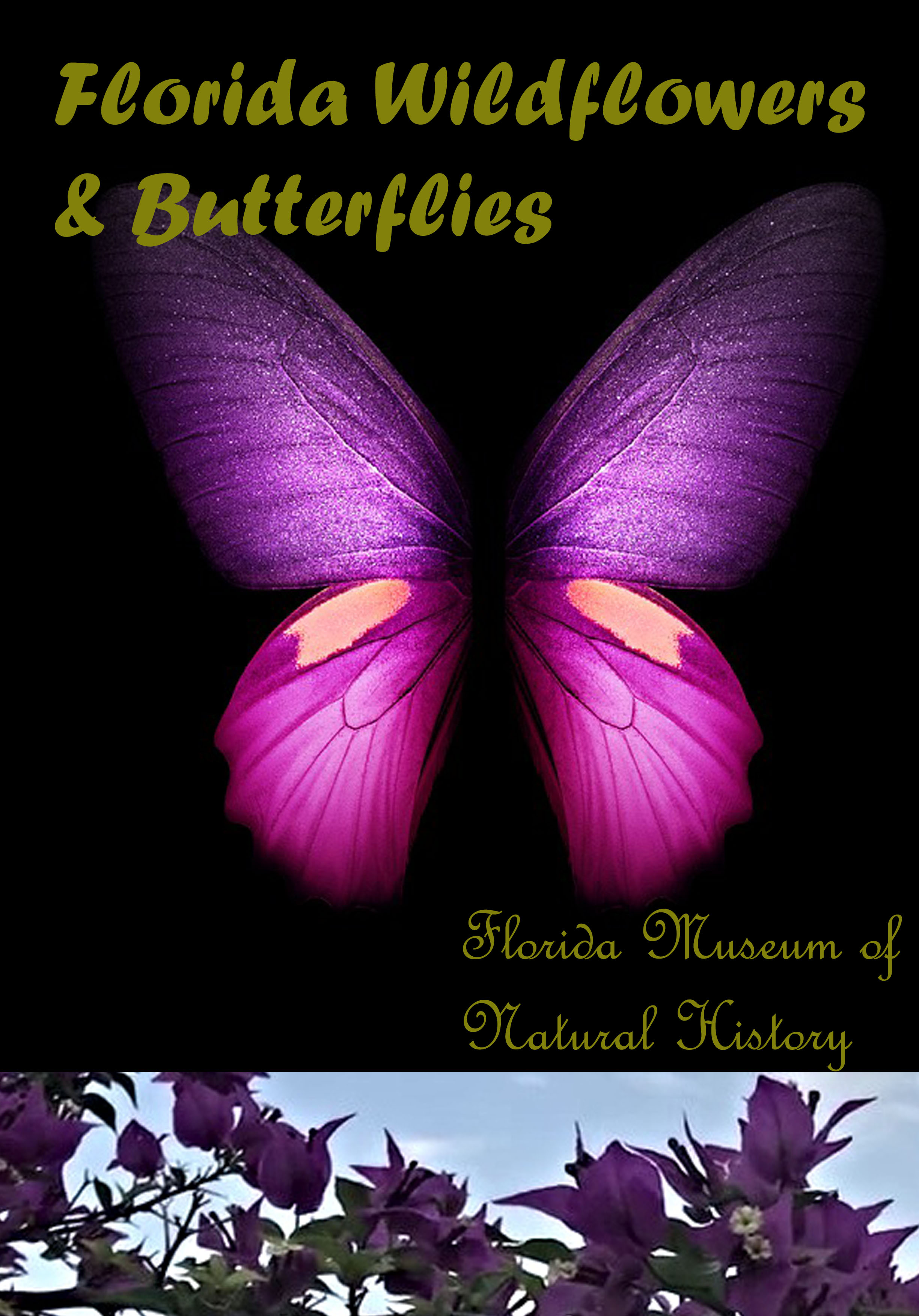 Florida Wildflowers & Butterflies (Unknown Binding)