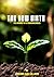 THE NEW BIRTH by Jeremiah Williams