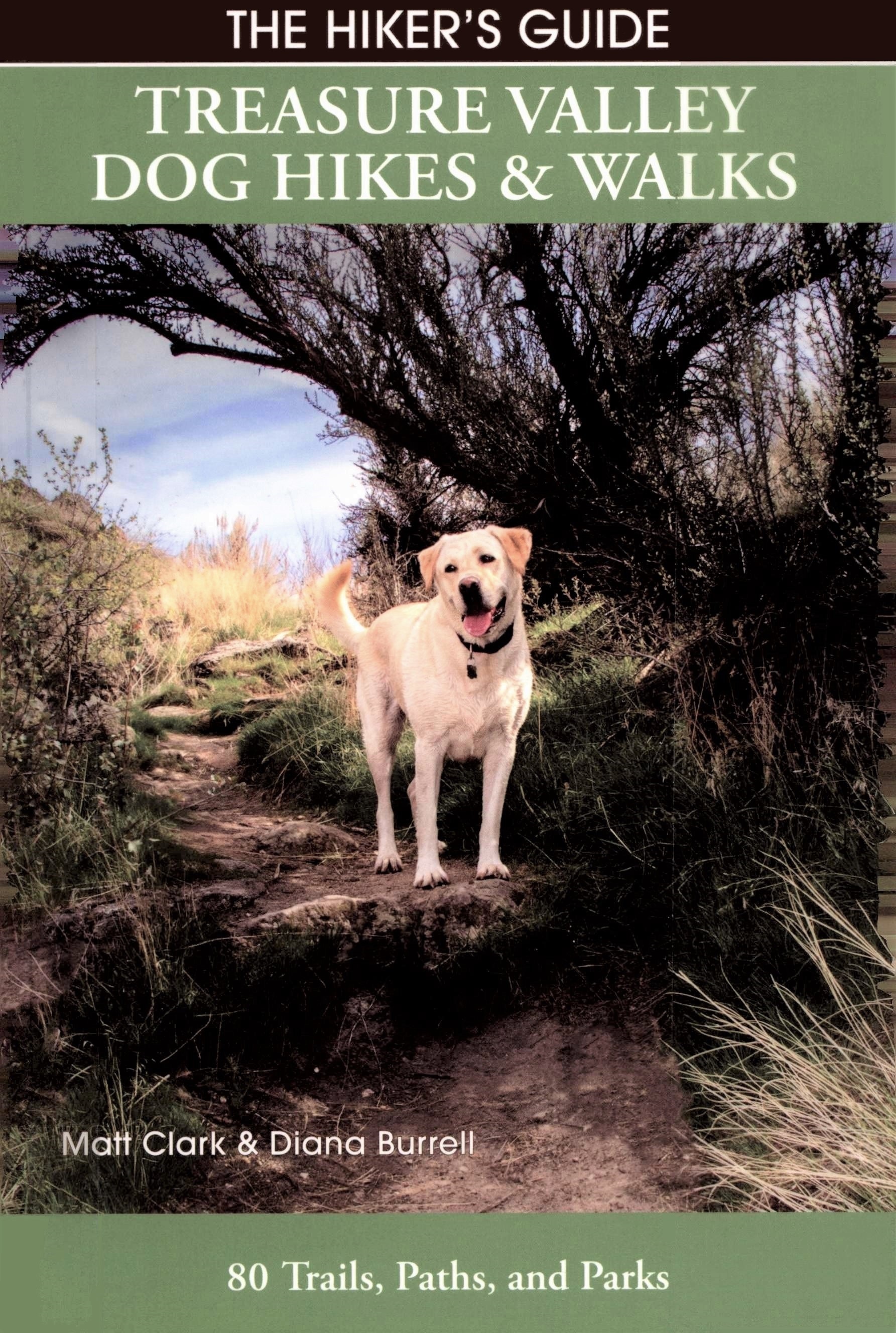 Treasure Valley Dog Hikes & Walks