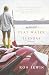 By Ron Irwin Flat Water Tuesday: A Novel [Paperback]