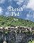 Sketch Pad 8x10: Big sketch...