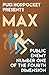Max: Public Enemy Number One of the Fourth Dimension (Puki Horpocket Presents #5, Max and the Multiverse #4)