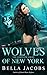 Wolves of New York: The Complete Series