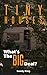 TINY Houses What's the BIG ...