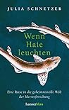 Wenn Haie Leuchten