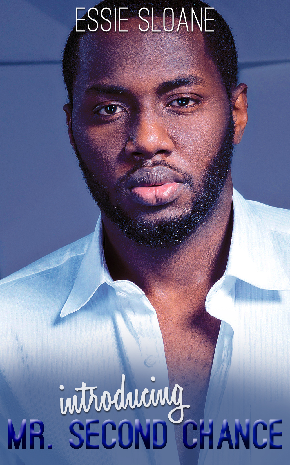 Introducing Mr. Second Chance (Introductions Book 2)