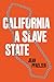 California, a Slave State (The Lamar Series in Western History)
