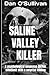 Saline Valley Killer: A psychological suspense thriller whodunit with a surprise ending