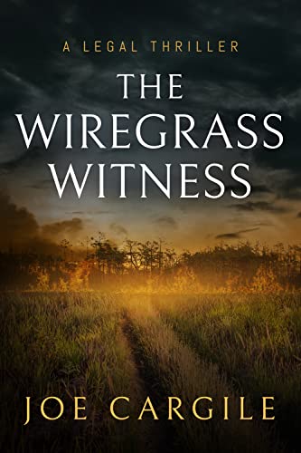 The Wiregrass Witness (Blake County Legal Thriller #3)