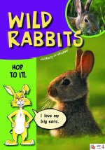 Wild Rabbits: Sailing Solo Green Level (Paperback)