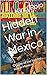 Hidden War in Mexico: Origins of the hidden war in Mexico