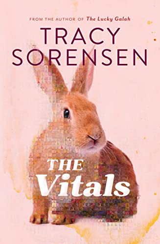 The Vitals (Kindle Edition)