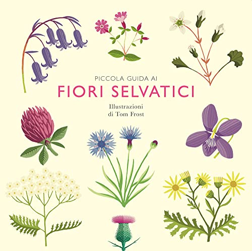 Piccola guida ai fiori selvatici (Hardcover)