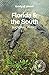 Lonely Planet Florida & the...