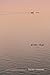 After That: Poems