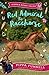 Red Admiral the Racehorse (Pippa's Pony Tales Book 2)