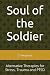 Soul of the Soldier by S. Ferguson