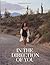 In The Direction Of You: a heretic's map, a healer's grimoire