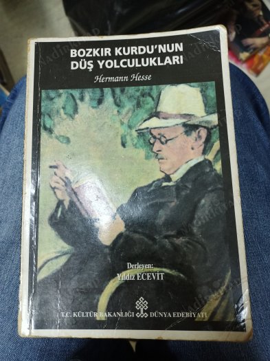 Bozkır Kurdu'nun Düş Yolculukları (Paperback)