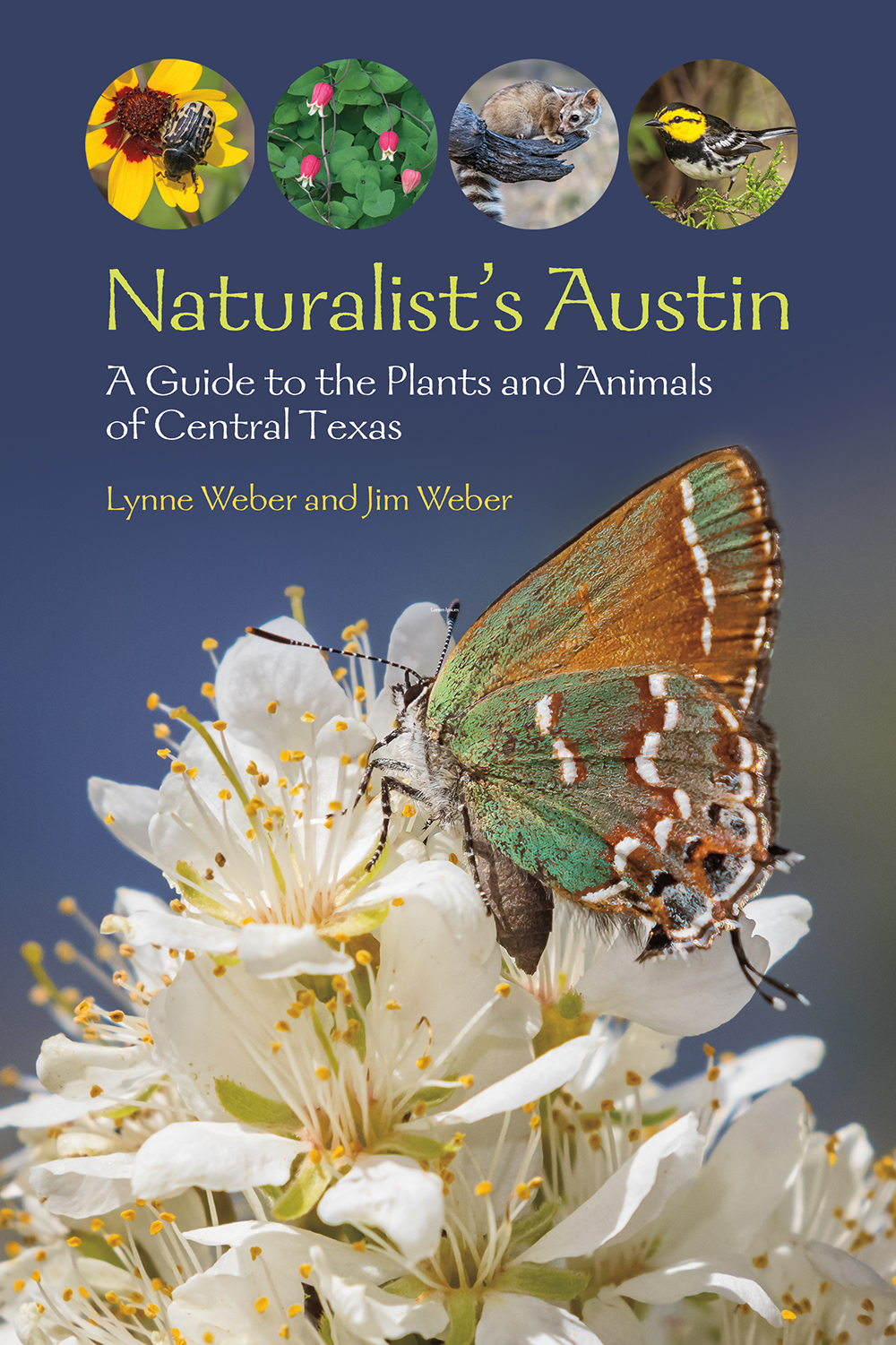 Naturalist's Austin: A Guide to the Plants and Animals of Central Texas (W. L. Moody Jr. Natural History Series)