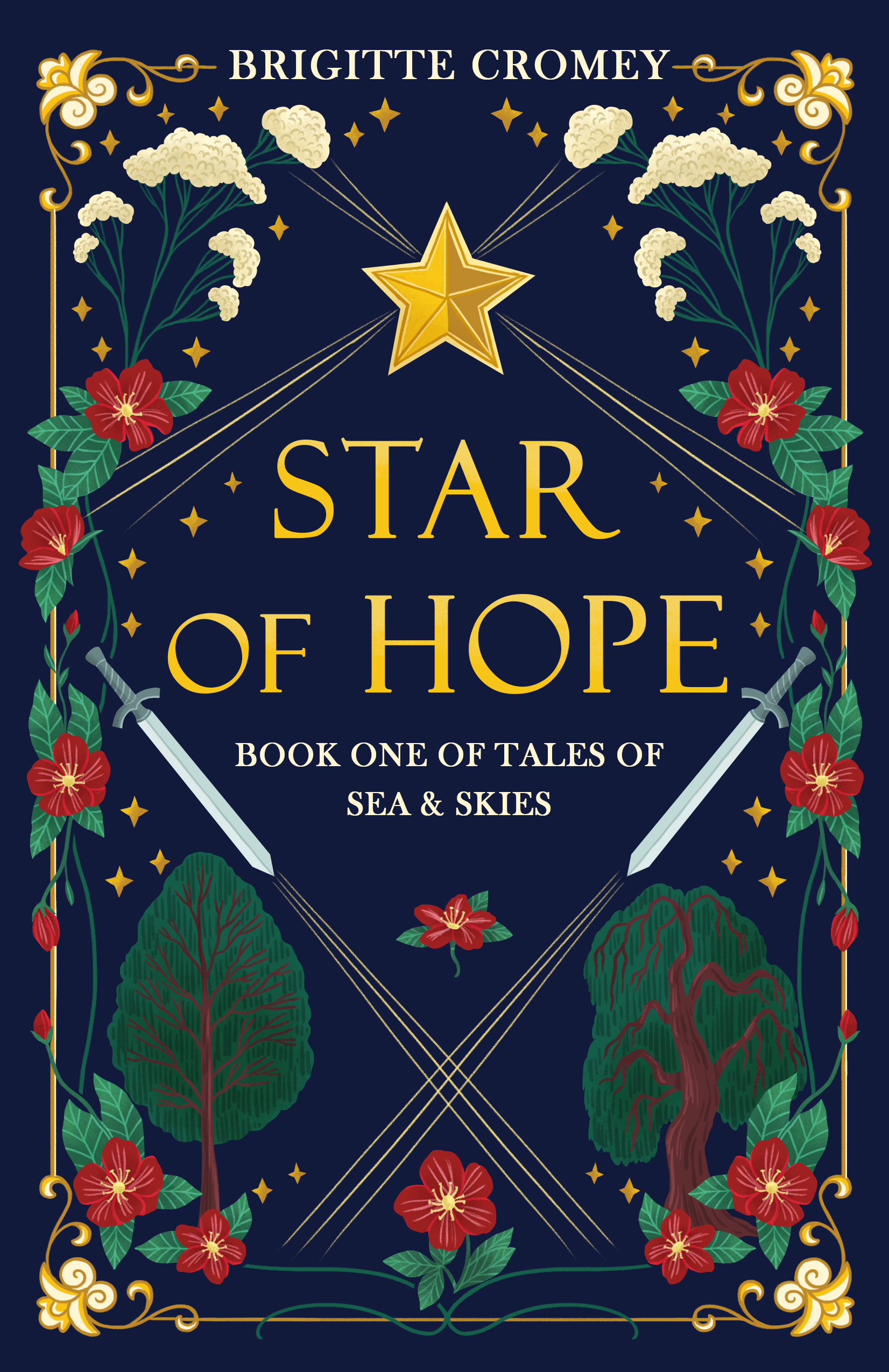 Star of Hope (Tales of Sea and Skies #1)