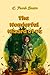 The Wonderful Wizard of Oz: adventure children's novel