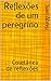 Reflexões de um peregrino: ...