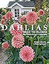 DAHLIAS by Kristine Albrecht