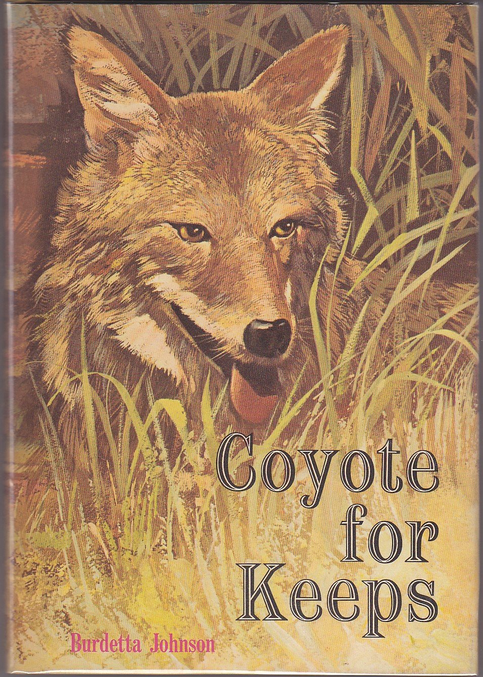 Coyote for Keeps (Hardcover)