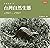 閃耀台灣六：台灣自然生態1860-1960