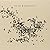 Murmurations