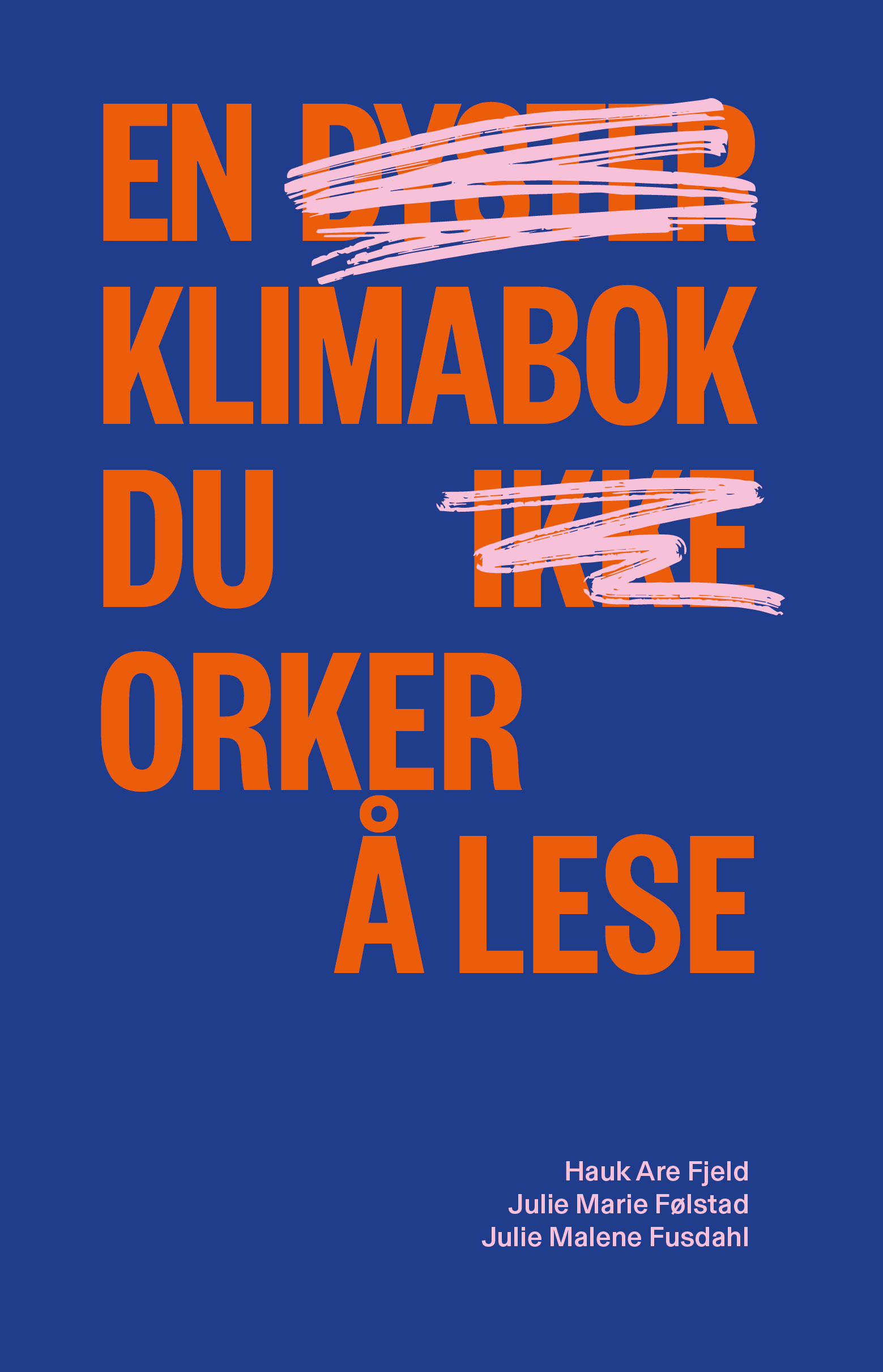 En klimabok du orker å lese (Paperback)