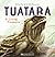 Tuatara, ​A Living Treasure