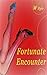 Fortunate Encounter (Hot Me...