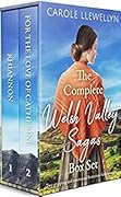 The Complete Welsh Valley Sagas Box Set
