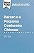 Balzac e a Pequena Costureira Chinesa de Dai Sijie (Análise do livro): Análise completa e resumo pormenorizado do trabalho (Portuguese Edition)