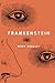 Frankenstein by Mary Shelley: classic novels