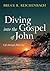 Diving into the Gospel of John by Bruce R. Reichenbach