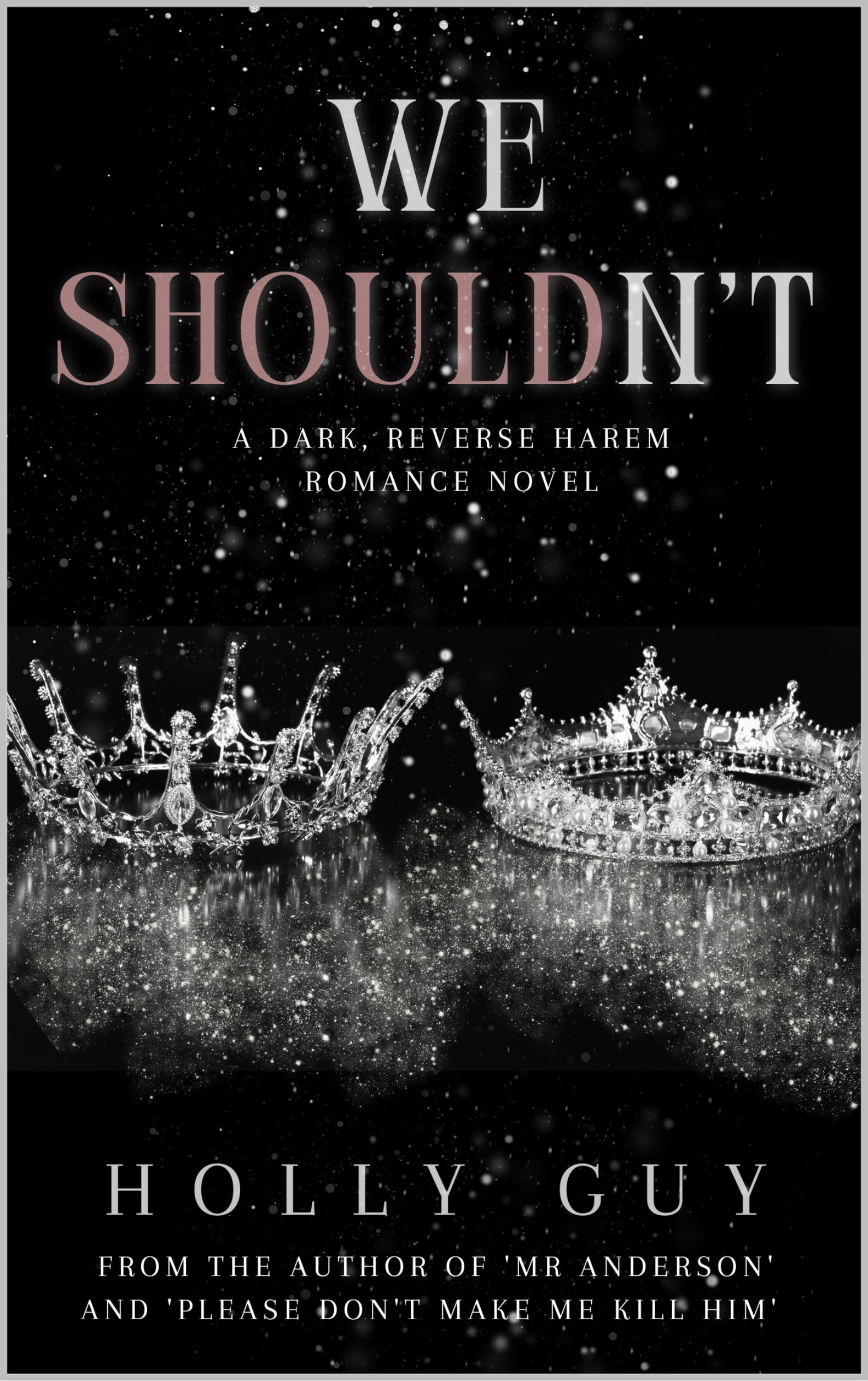 We Shouldn't (Kindle Edition)