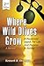 Where Wild Olives Grow: A P...