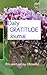 Daily Gratitude Journal: for everyday thanks