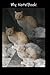 NoteBook: Cute Notebook With Cute Cats On The Cover