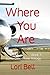 Where You Are: Book 3 Some Other Time Trilogy
