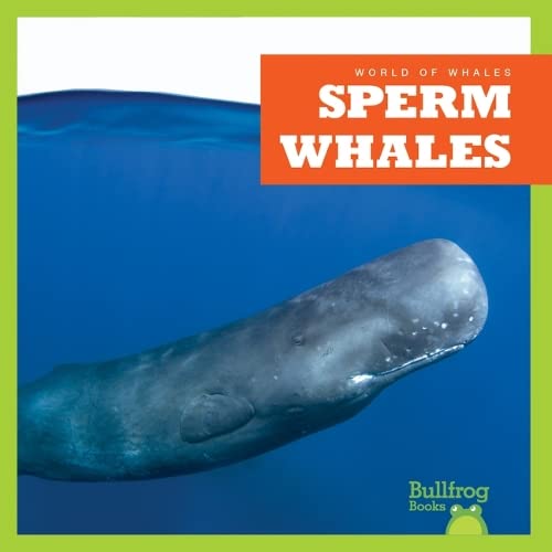Sperm Whales (Bullfrog Books: World of Whales)